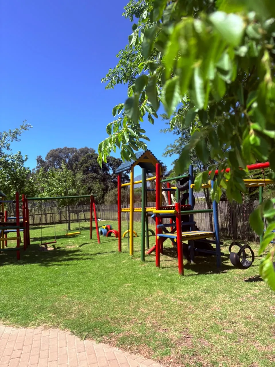 Colourful outdoor playground surrounded by trees at Olive & Vine